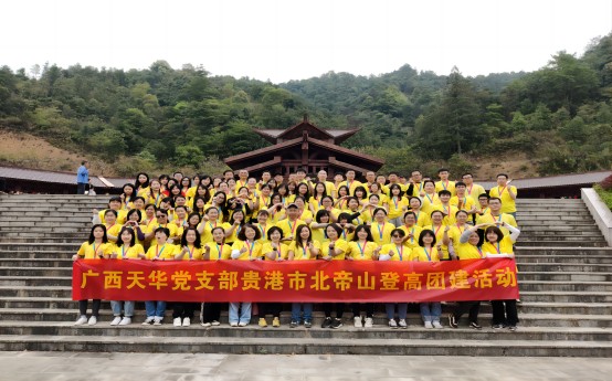 廣西天華黨支部赴貴港北帝山開展登高郊游活動(dòng)